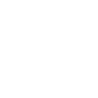 Brave Bird Design